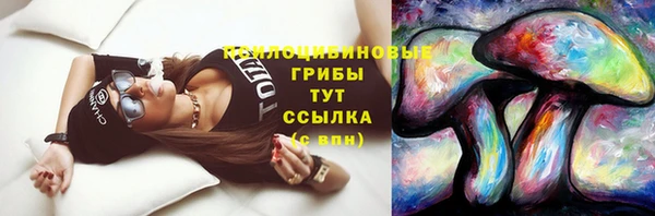 дурь Алзамай