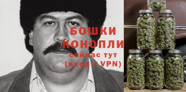 дурь Алзамай