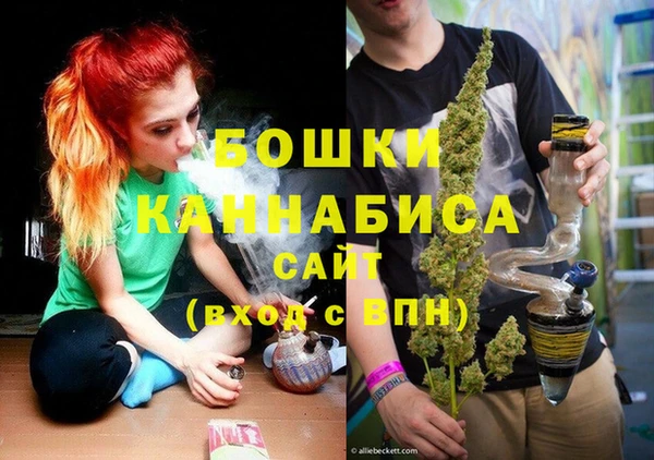 сатива Алексин