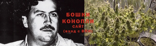 сатива Алексин